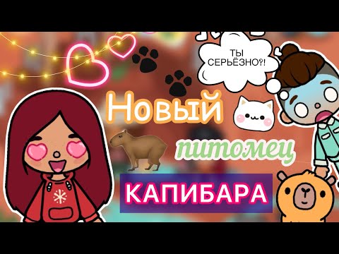 Видео: Новый питомец КАПИБАРА 🤯🐾💕 / Toca Life World  / тока бока / toca boca / Secret Toca
