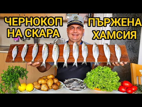 Видео: Чернокоп, Хамсия и Скариди за вечеря! Най - вкусните есенни риби в Черно море! Рибно меню за всички!