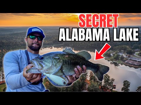 Видео: БЕЗУМНАЯ рыбалка на СЕКРЕТНОМ озере в Алабаме...