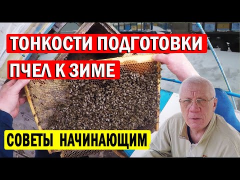 Видео: Как подготовить пчел к зиме? Советы начинающим пчеловодам!
