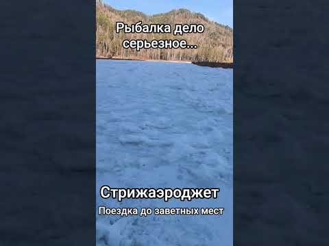 Видео: За поклёвкой!