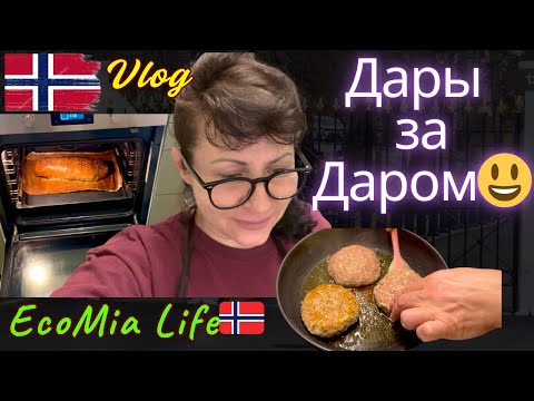 Видео: Вкусно за копеечки. Готовлю вкуснейшее из того, что досталось почти даром!/Nº6-09.25