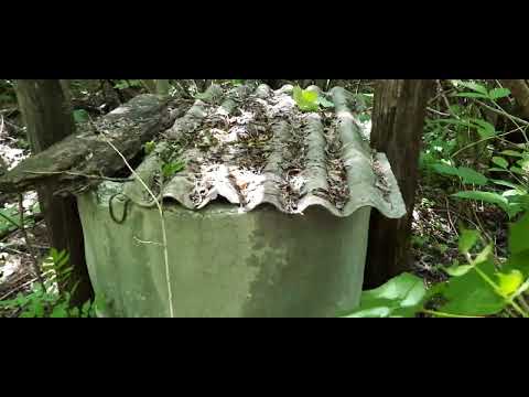 Видео: Заброшенные дома на краю деревни Саратовской области .