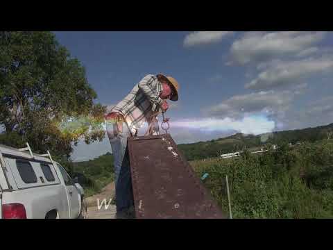 Видео: Отлов черепах ради еды и дохода, Ред Охерн, часть 1