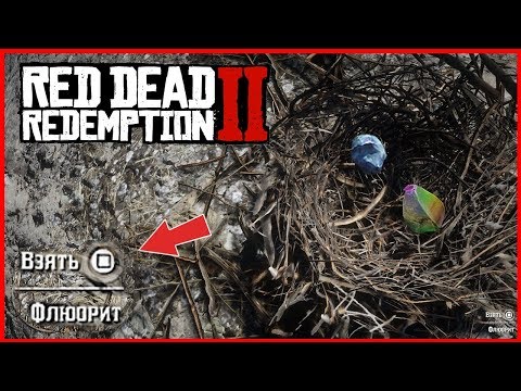 Видео: СЕКРЕТНОЕ ГНЕЗДО В RED DEAD REDEMPTION 2: НОВАЯ ПАСХАЛКА В RDR 2