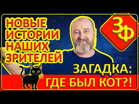 Видео: 218 Коты Умеют Испаряться | Новые Истории Наших Зрителей