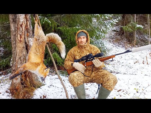 Видео: ОХОТА НА ЛИСУ С ТЕПЛОВИЗОРОМ Zoom ZL 38 / КАРАБИН ЛОСЬ 145