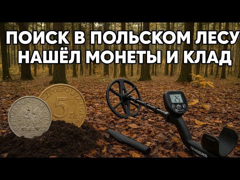 Видео: ПОИСК В ПОЛЬСКОМ ЛЕСУ — НАШЁЛ МОНЕТЫ И СЛЕДЫ ЛЕСОПОВАЛА
