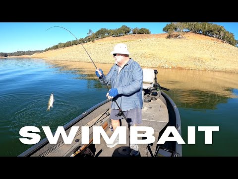 Видео: Чак и Винд СВИМБЕЙТ: день как день / озеро Насименто