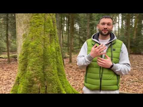 Видео: КАК СДЕЛАТЬ ЖЕСТКИЕ КУЛАКИ И НЕ ТРАВМИРОВАТЬ РУКИ