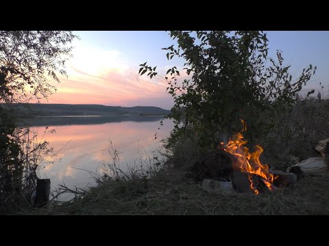 Видео: Осенняя рыбалка на КАРПА и СОМА. Простая наживка сработала