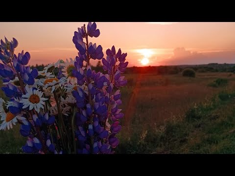 Видео: Максим Русинов - Только Ты (Авторская песня)