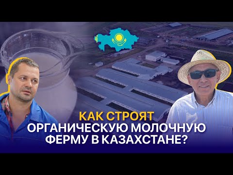 Видео: Первая роботизированная органическая молочная ферма в Казахстане — ТОО Енбек