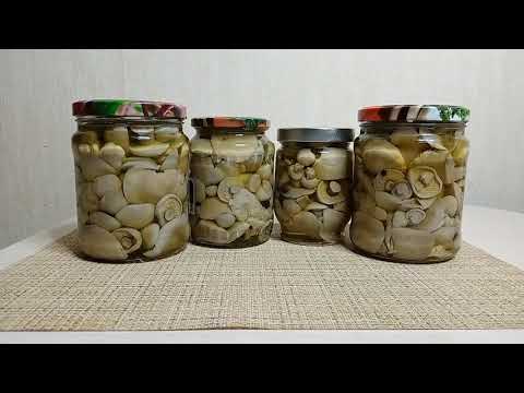 Видео: Маринованные Синеножки на зиму! До чего же вкусные грибы!