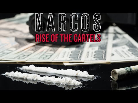 Видео: Narcos: Rise of the Cartels - #Прохождение 3