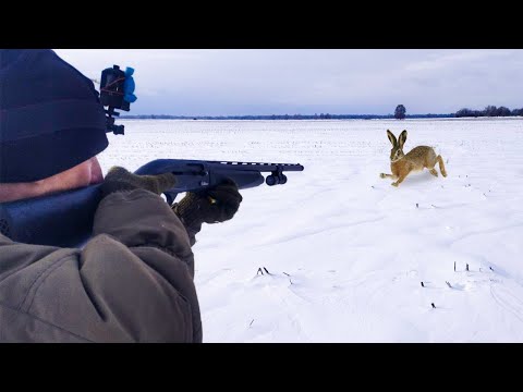 Видео: ЛУЧШЕЕ ЗА 6 ЛЕТ ОХОТЫ НА ЗАЙЦА СНЯТЫХ НА КАМЕРУ. ТОП выстрелы по зайцу и лисе