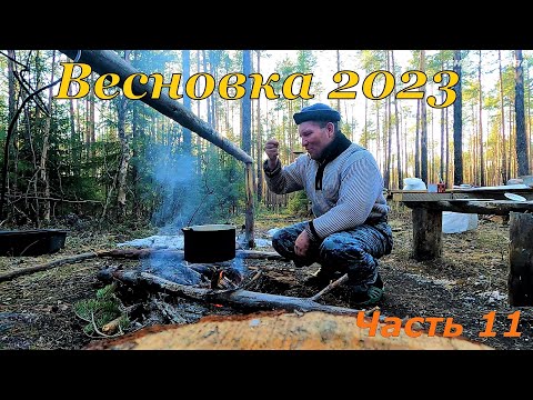 Видео: ВЕСНОВКА 2023 \ Часть 11 \ ПРОБУЕМ ВКУСНЯШКУ \ ПОСЛЕДНЯЯ НОЧЬ НА ВЕСНОВКЕ