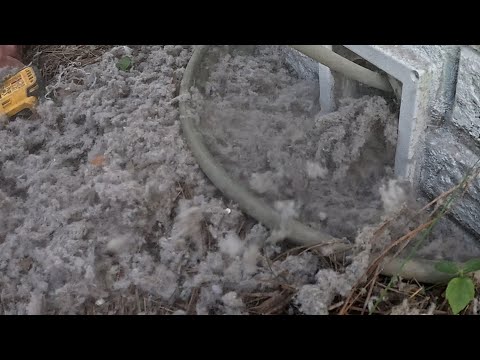 Видео: Хозяин дома в шоке, увидев, что внутри! ЧИСТКА ВЕНТИЛЯЦИОННОГО ОТВЕРСТИЯ СУШИЛЬНОЙ МАШИНЫ! #almet...