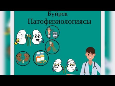 Видео: ЗӘР ТҮЗУ ЖҮЙЕСІНІҢ ПАТОФИЗИОЛОГИЯСЫ. БҮЙРЕК ПАТОФИЗИОЛОГИЯСЫ. 1-бөлім