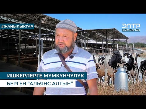 Видео: ИШКЕРЛЕРГЕ МҮМКҮНЧҮЛҮК БЕРГЕН “АЛЬЯНС АЛТЫН”