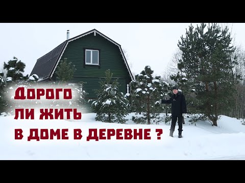 Видео: Сколько стоит жить в деревенском доме в 2024 году?