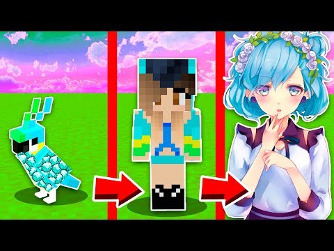 Видео: КАК МЕНЯЛАСЬ ДЕВУШКА АЛМАЗНЫЙ ПОПУГАЙ МОБ И ЕЁ ЖИЗНЕННЫЙ ЦИКЛ МАЙНКРАФТ ЭВОЛЮЦИЯ МУЛЬТИК