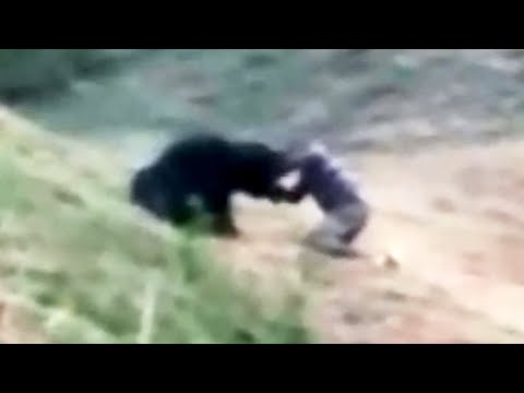 Видео: Этот Человек Был Съеден Заживо После Того Как Его Медвежий Спрей Дал Сбой!