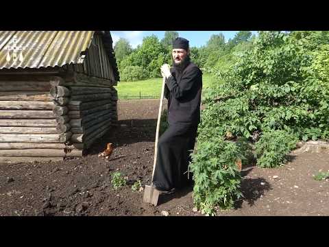 Видео: Любовь возвращается любовью.Иеромонах Антоний