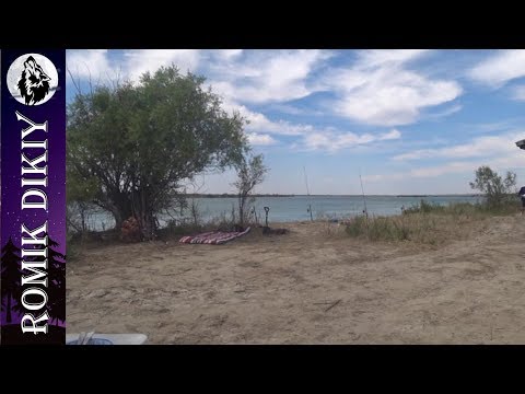 Видео: Простая рыбалка на р.Или. Сазанчик, судак, жерех. (21-21 июля 2018г)
