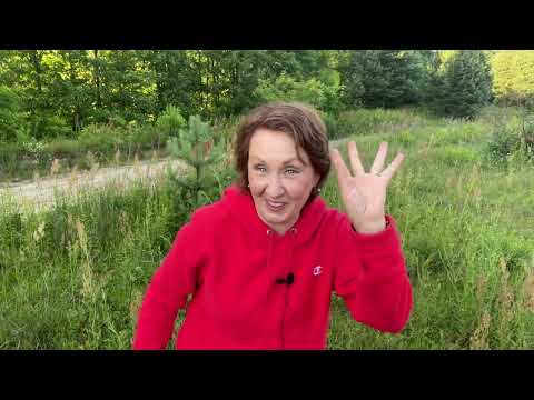 Видео: Как управлять энергией через текст