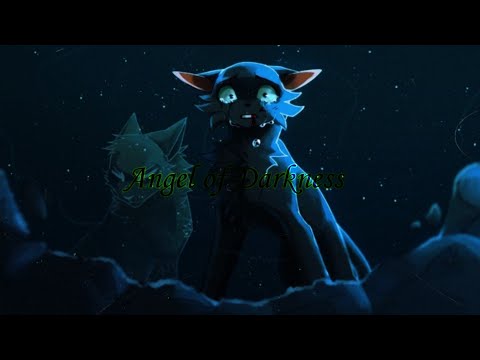 Видео: Клип Коты Воители "Angel of Darkness|Ангел Тьмы" Остролистая|CW Hollyleaf|√🖤Black Cat𓃠√