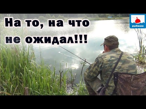 Видео: Рыбалка на крупного карася-что сработало первое?