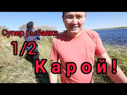 Видео: #Баканас #Карой #fishing2020 СУПЕР РЫБАЛКА КАРОЙ! Go Fishing to Qaraoy. #Рыбалка2020