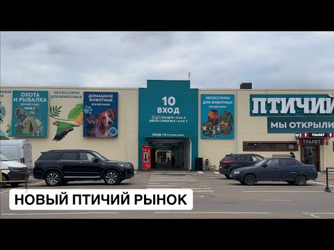 Видео: Новый Птичий Рынок 2025 / Мы переехали! / Клинобрюшки и Нанностомусы / Обзор новых павильнов часть 1