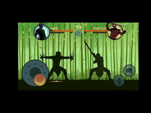 Видео: 9 ноября 2025 г.