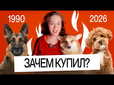 Видео: Жертвы TikTok: Ужасная цена моды на собак