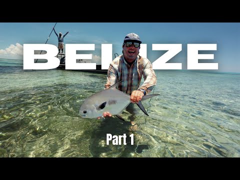 Видео: Нахлыстовая рыбалка на севере Белиза | Отчёты о полевых работах Yellow Dog