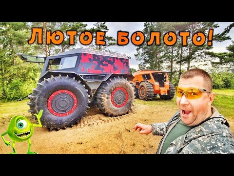 Видео: Непроходимое болото Вышнего Волочка.
