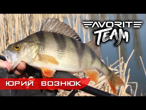 Видео: ПУЗАТЫЕ ОКУНЯ на ультралайт. Весенняя рыбалка на песчаном карьере. Favorite Team