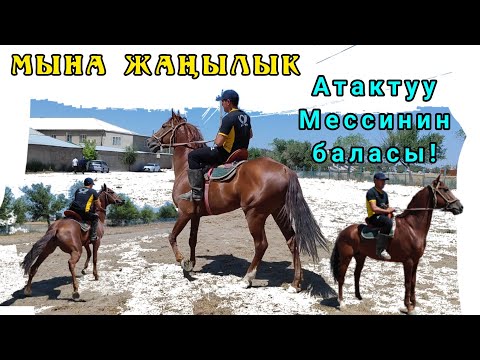 Видео: Месси Токтогул командасында 🔥🔥🔥