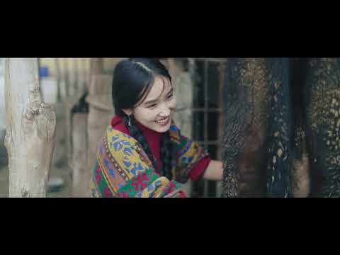 Видео: Кутболсун Жээнбаев - Бактияр Азатов / Барам сага / С;О. Б.Борбиев