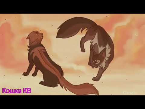 Видео: КЛИП~Коты-Воители--Эхо