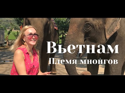 Видео: Вьетнам - Племена мнонгов - матриархат во Вьетнаме | Вокруг света с Владиславой Жазири | Vietnam