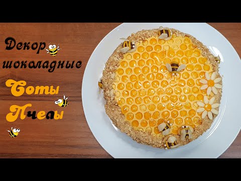 Видео: ШОКОЛАДНЫЙ ДЕКОР СОТЫ И ПЧЕЛЫ. Мастер-класс. Простой, эффектный красивый декор