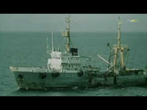 Видео: Юрий Визбор - Три минуты тишины