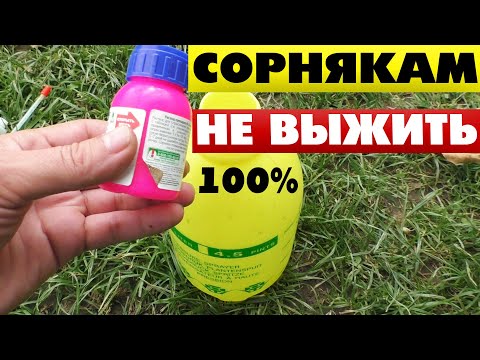 Видео: Как избавиться от травы на кладбище на все лето 🌿🍃