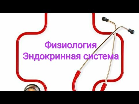 Видео: Физиология: гормон окситоцин и антидиуретического гормон  (вазопрессин).