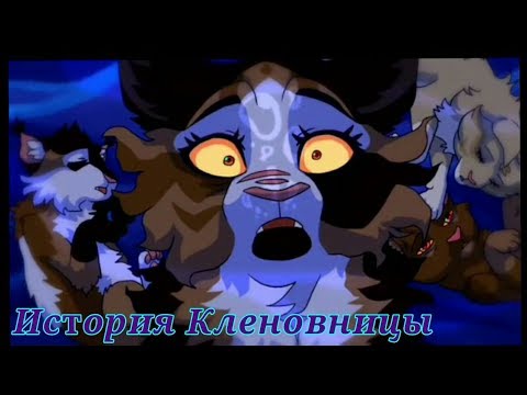 Видео: История Кленовницы [Возмездие Кленовницы] | Коты ~ Воители