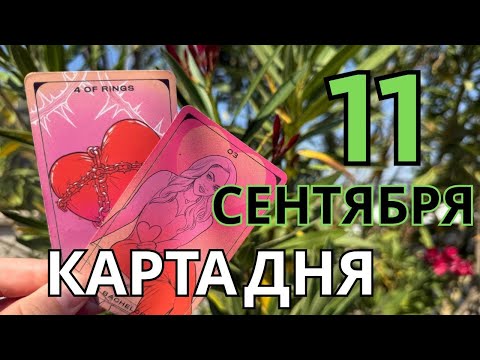 Видео: 🌈 11 сентября — День Гармонии и Лёгких Решений! 🌞🧿