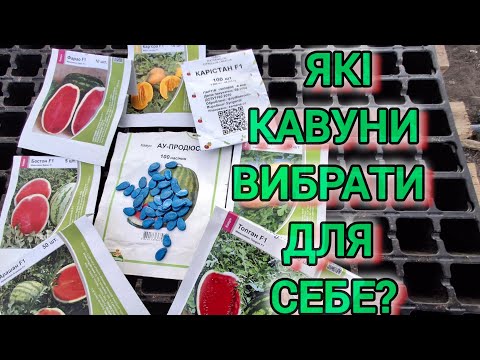 Видео: Які кавуни вибрати для себе? Досвід 2024.